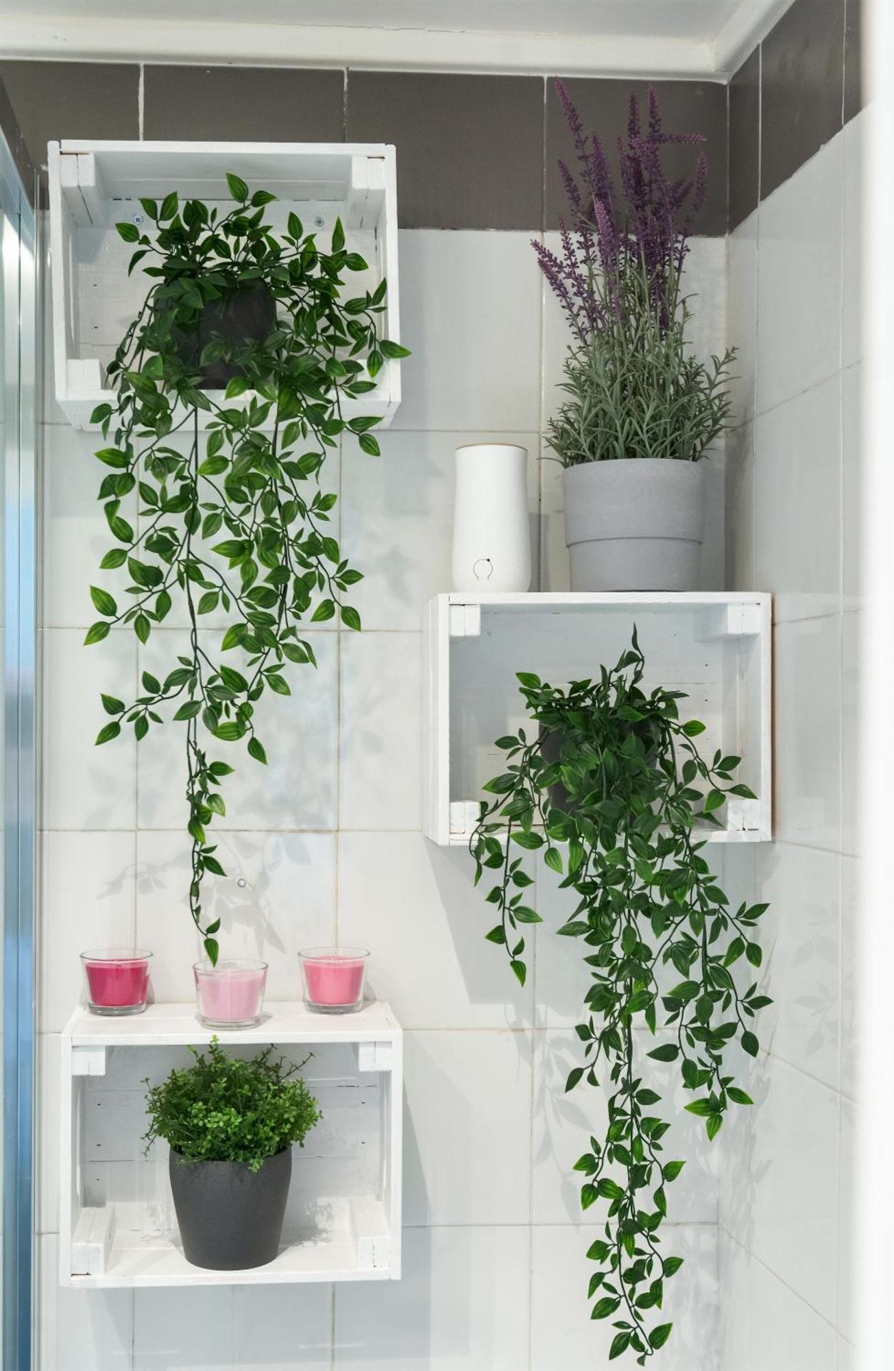 Cozy Studio Campo De Fiori 罗马 外观 照片